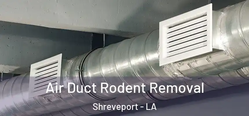  Air Duct Rodent Removal Shreveport - LA