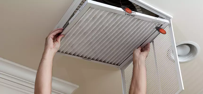 Preventive Cockroach-Proofing for Ducts in Shreveport