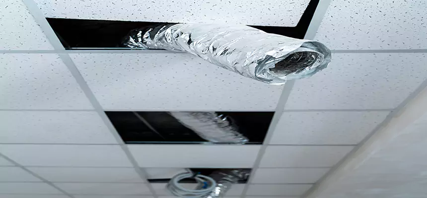 Our Air Duct Pet Hair Removal Services in Shreveport, LA