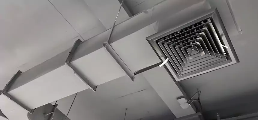 Restorative Allergy Relief Vent Cleaning – Coil, Blower & Housing Detail in Shreveport