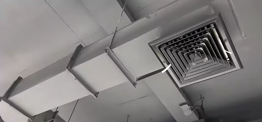 Our Pest Removal From Ducts Services in Shreveport, LA