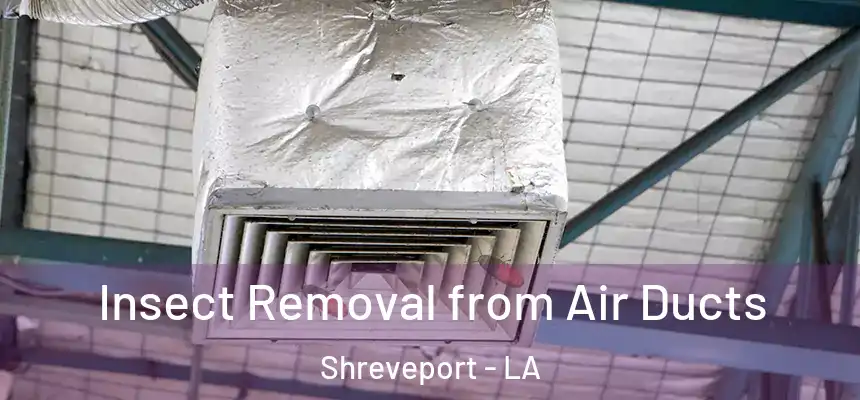  Insect Removal from Air Ducts Shreveport - LA