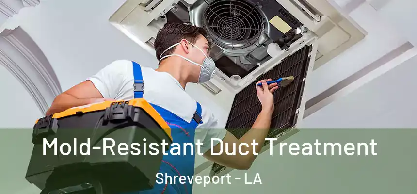  Mold-Resistant Duct Treatment Shreveport - LA