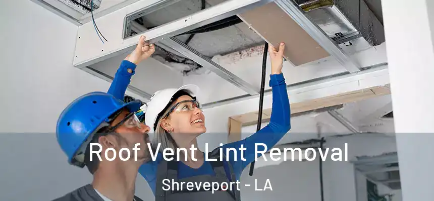  Roof Vent Lint Removal Shreveport - LA