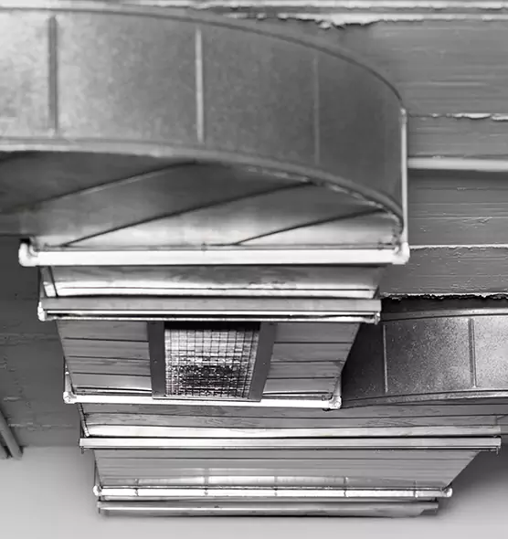 Professional Air Duct Pest Removal in Shreveport, LA