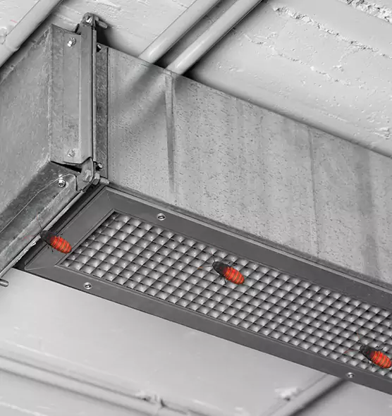 Affordable Insect Removal from Air Ducts in Shreveport, LA