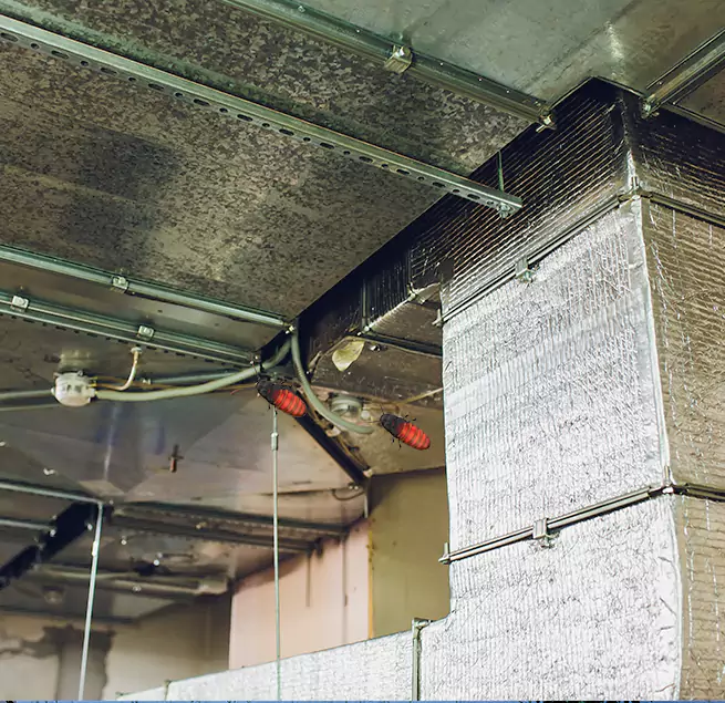 Why Homeowners & Businesses Trust Us in Shreveport, LA?