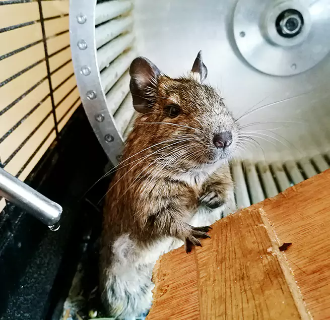 Why Homeowners & Businesses Trust Us Shreveport, LA