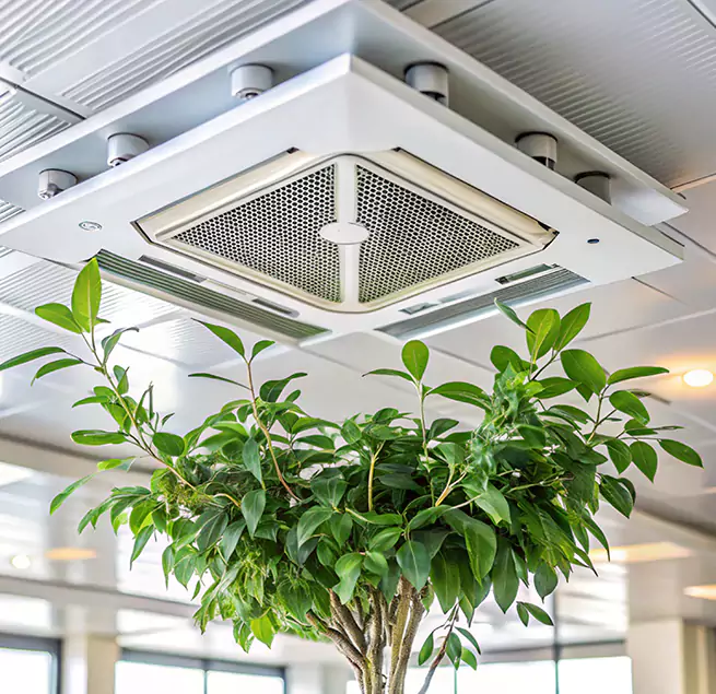 Why Homeowners & Businesses Trust Us in Shreveport, LA