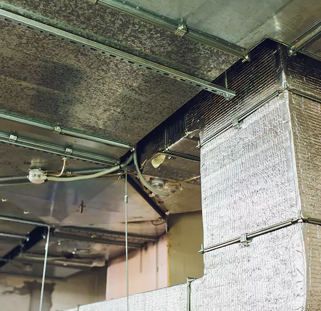 Why Homeowners & Businesses Trust Us in Shreveport, LA?